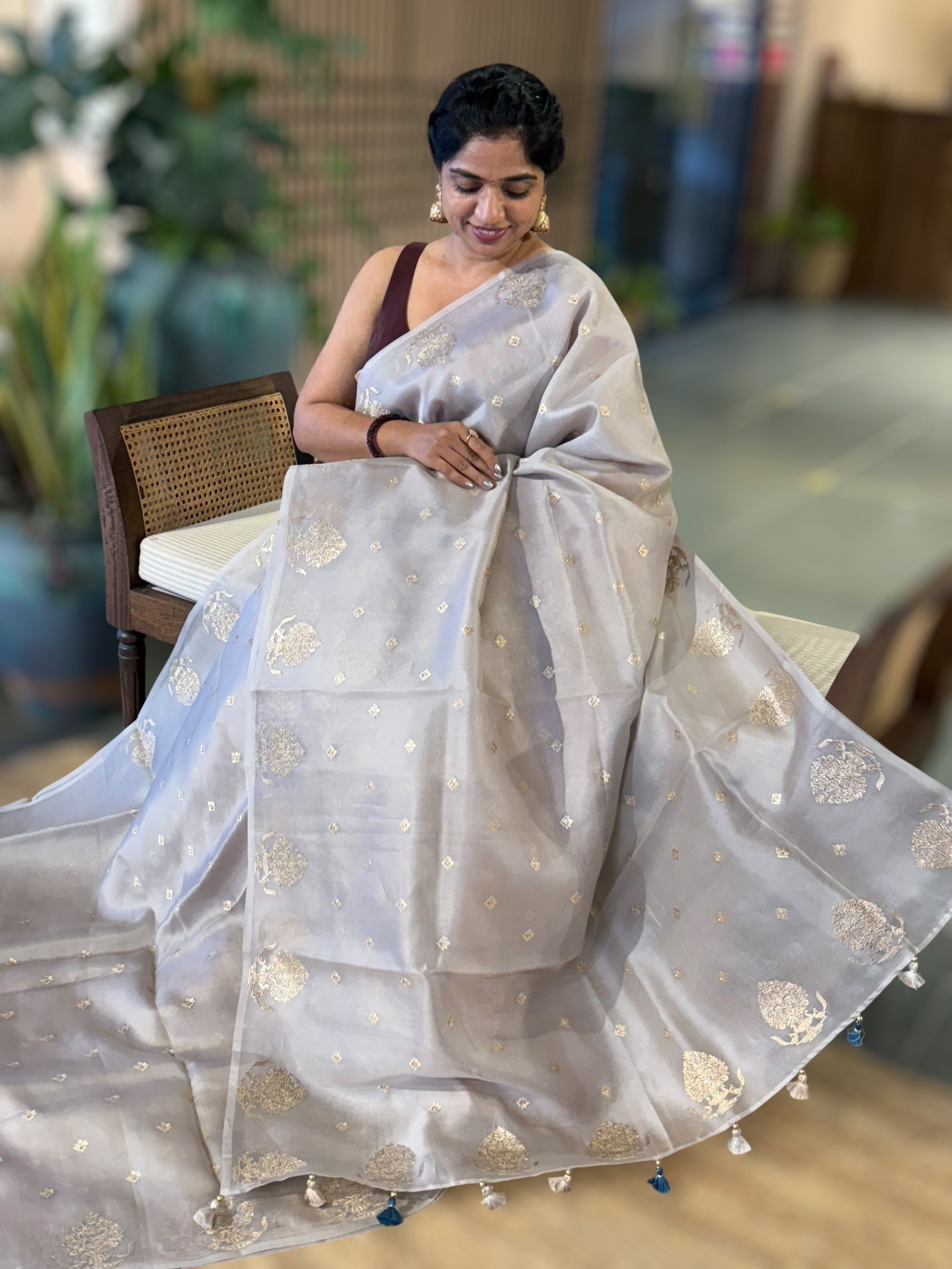Silverish Grey  Organza Saree With Embroidered Motifs & Tussar Printed Blouse
