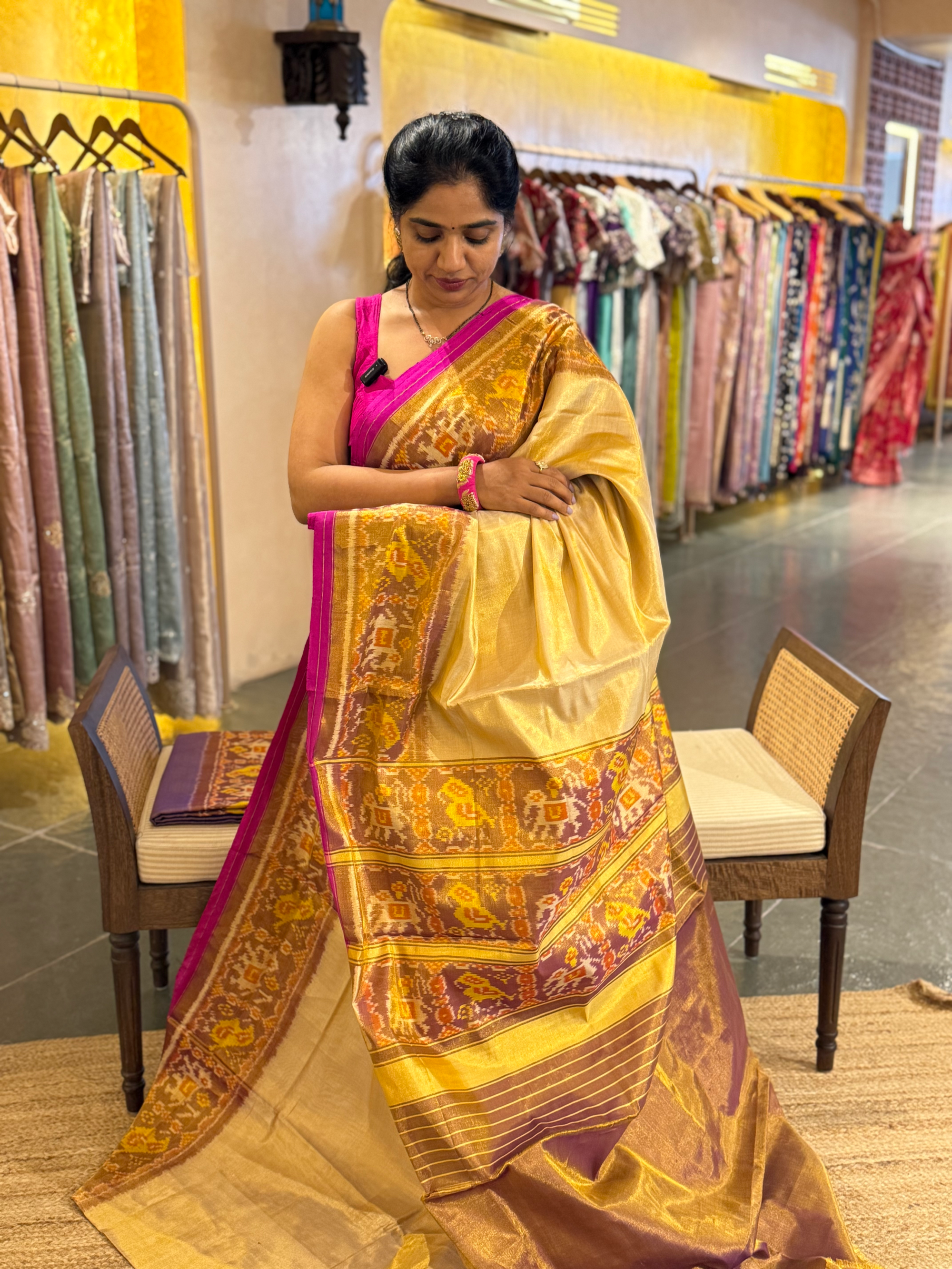 Beige Gold  Color Tissue Patan Patola Saree With Elephant and Parrot Borders