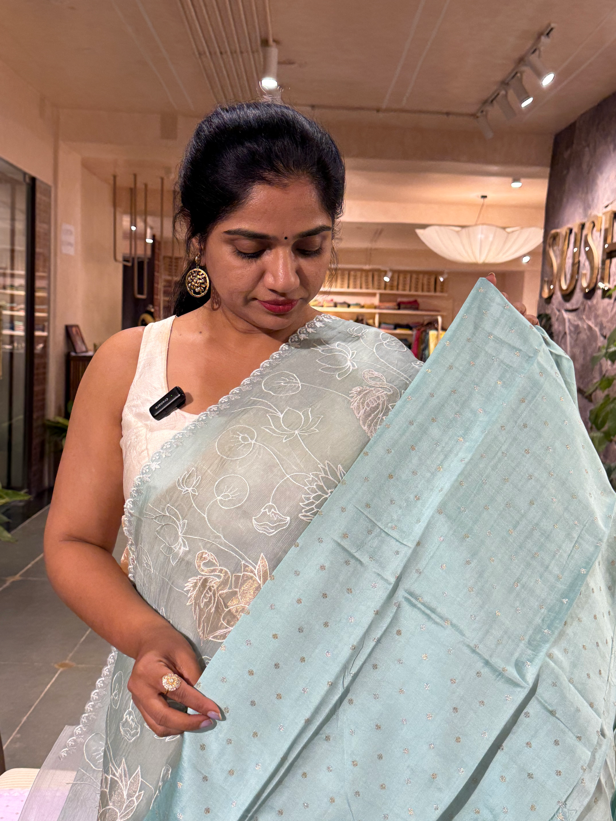 SOAA1608 : Pastel Blue Organza Saree with Allover Pichwai Applique Embroidery