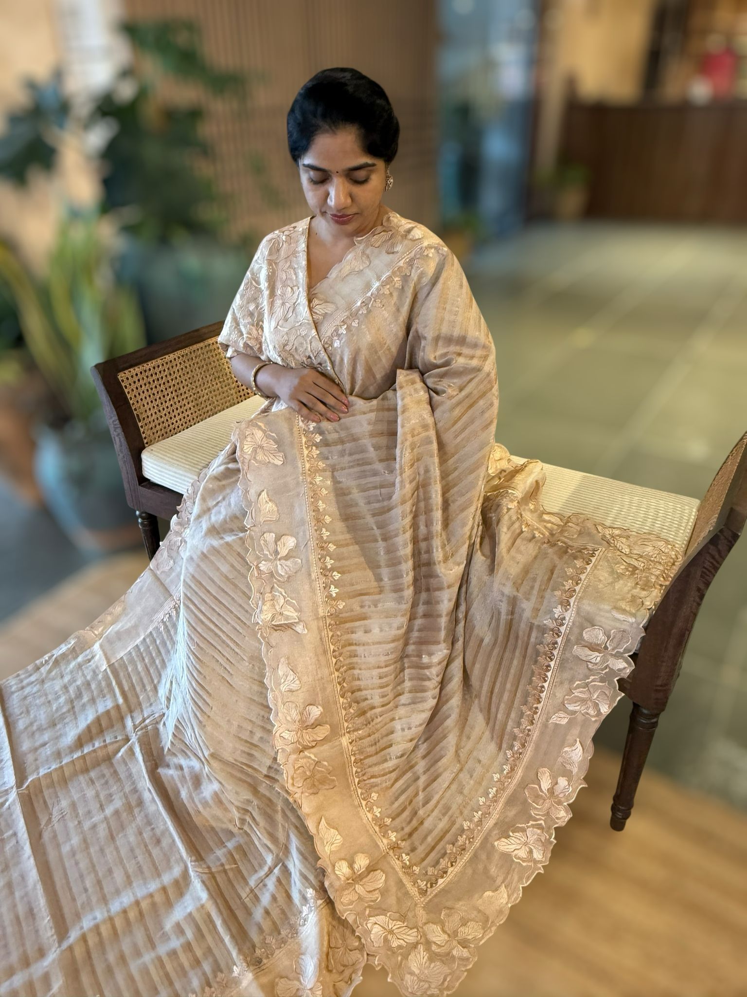 Earthy tone Mul Tissue Stripes Saree With Tissue Cutwork  Border & Blouse