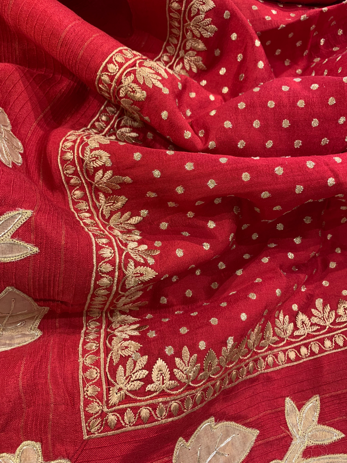 Red Chiniya Silk Saree with Embroidery Border & Applique Creeper Pallu