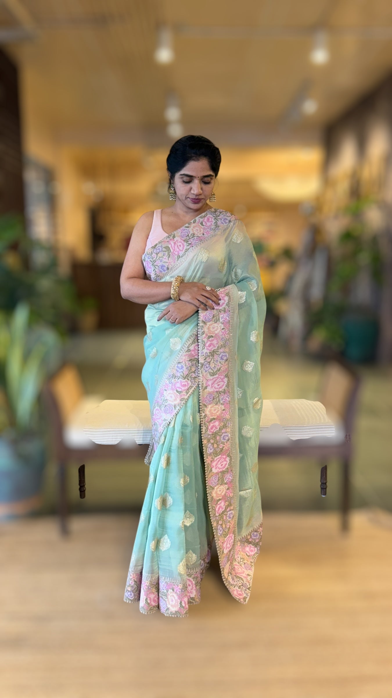 Mint Banarasi Tissue Gorgette Saree With Petite Point Embroidered Border