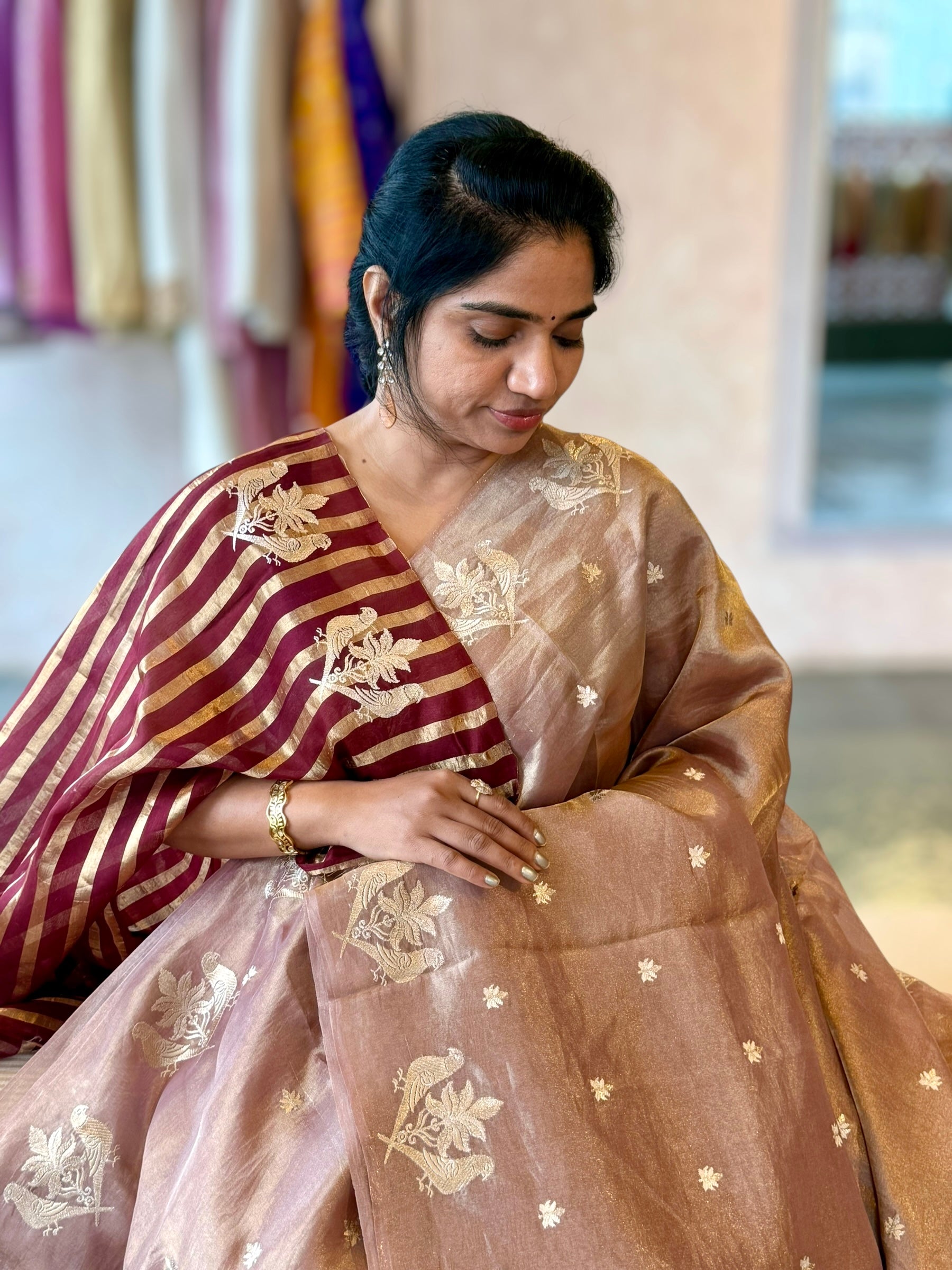 Honey Handloom Tissue Saree With Bird Embroidered Border & Stripes Tissue BP