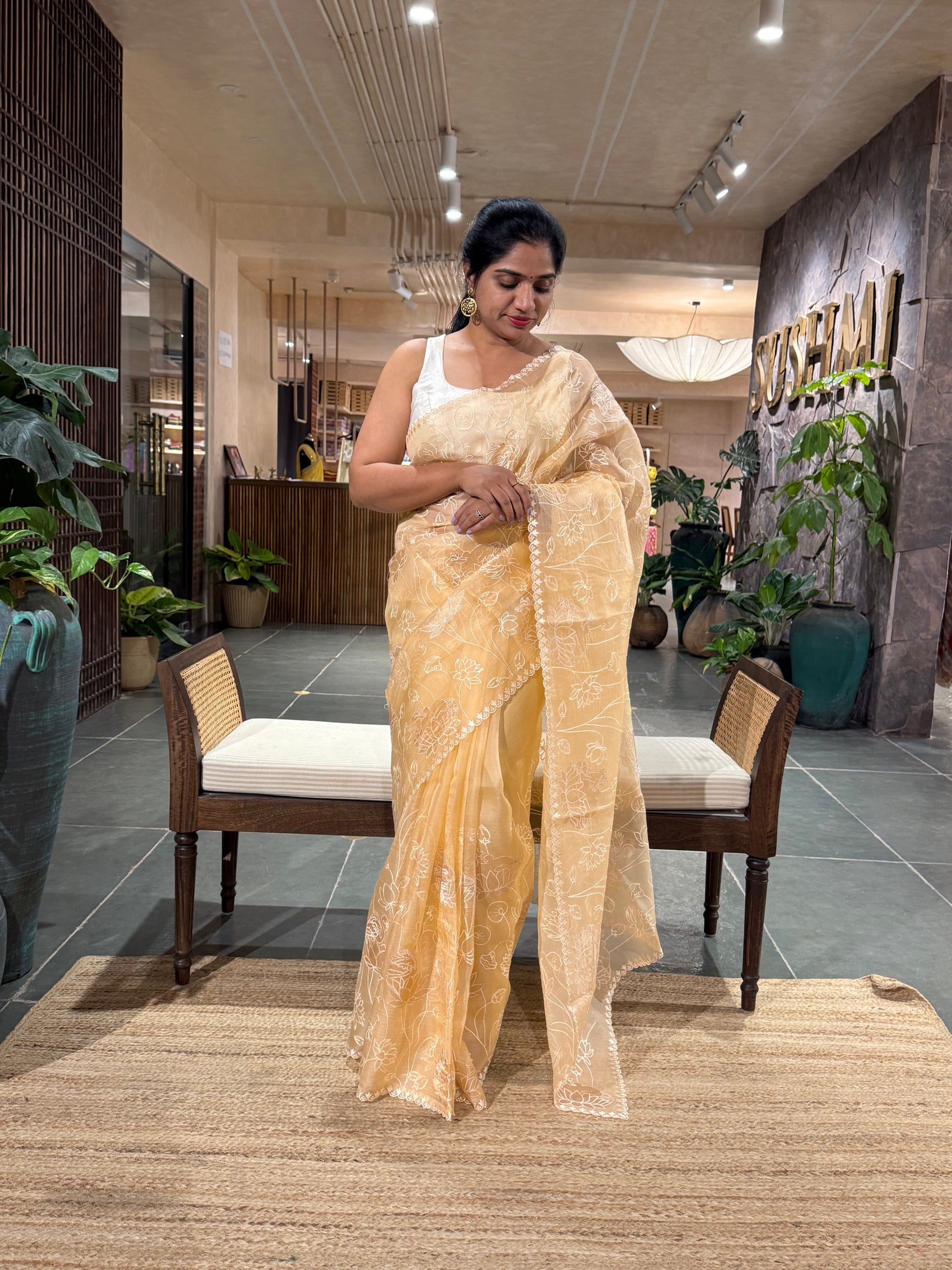 SOAA1604 : Light Peach Organza Saree with Allover Pichwai Applique Embroidery