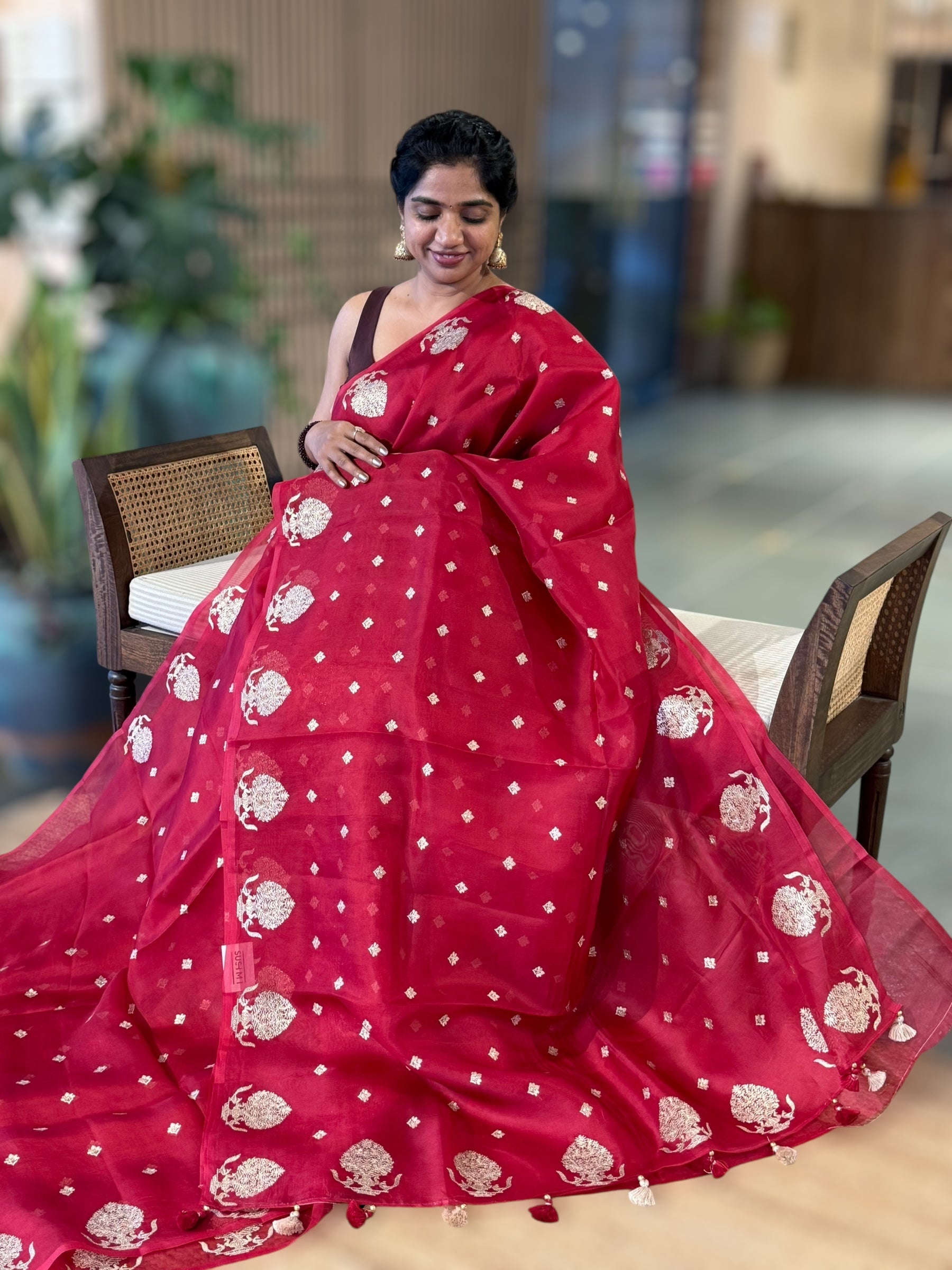 Red Organza Saree With Embroidered Motifs & Tussar Printed Blouse