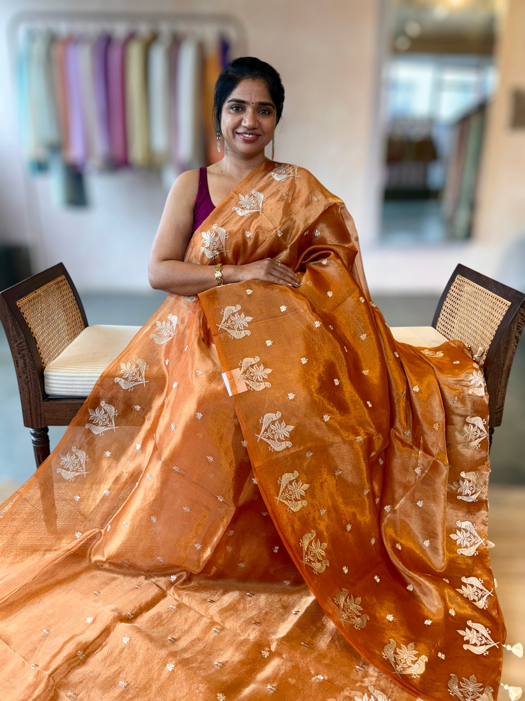 Orange Handloom Tissue Saree With Bird Embroidered Border & Stripes Tissue BP