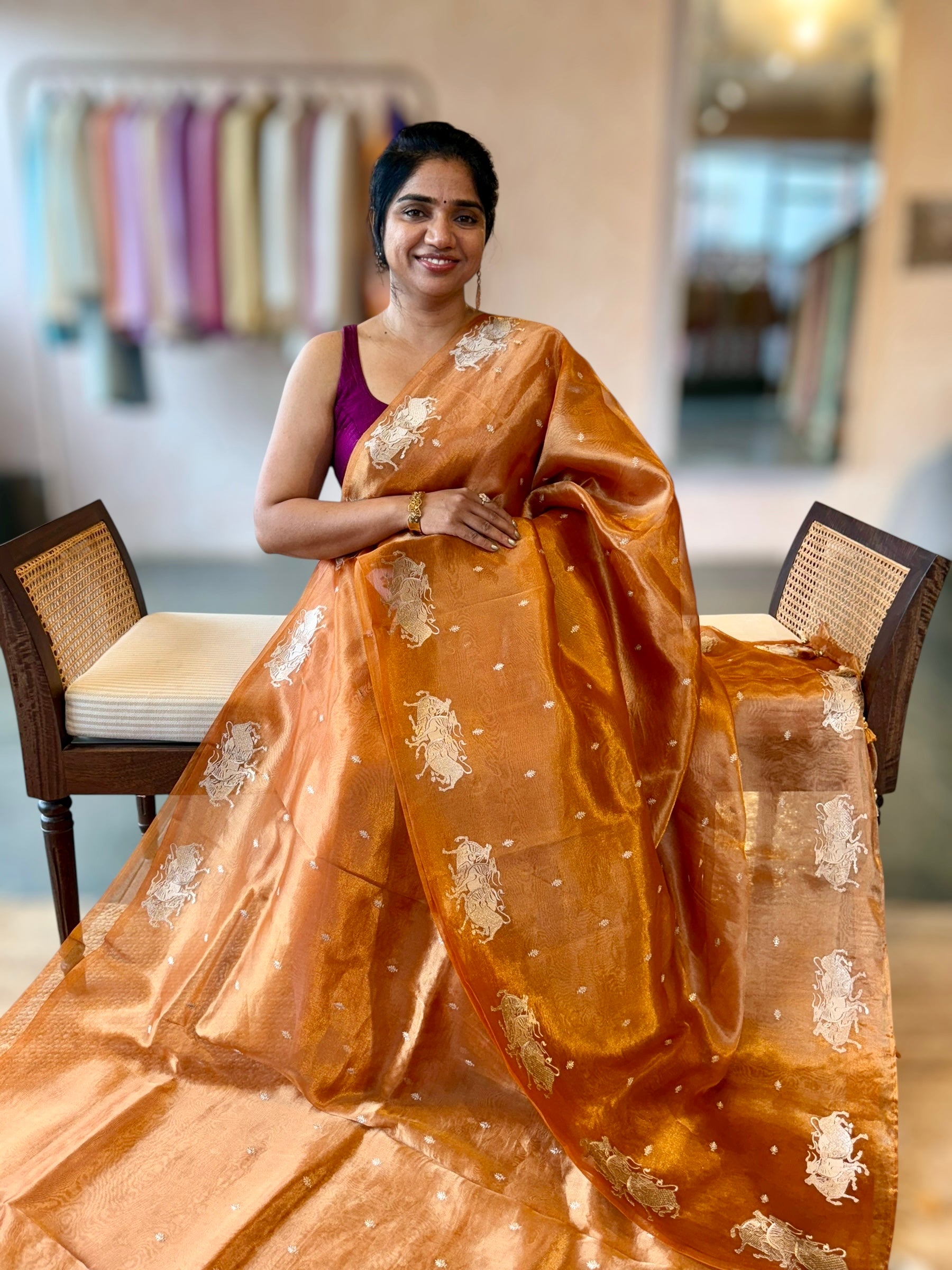 Orange Handloom Tissue Saree with Nandi Embroidered Border & Stripes Tissue BP