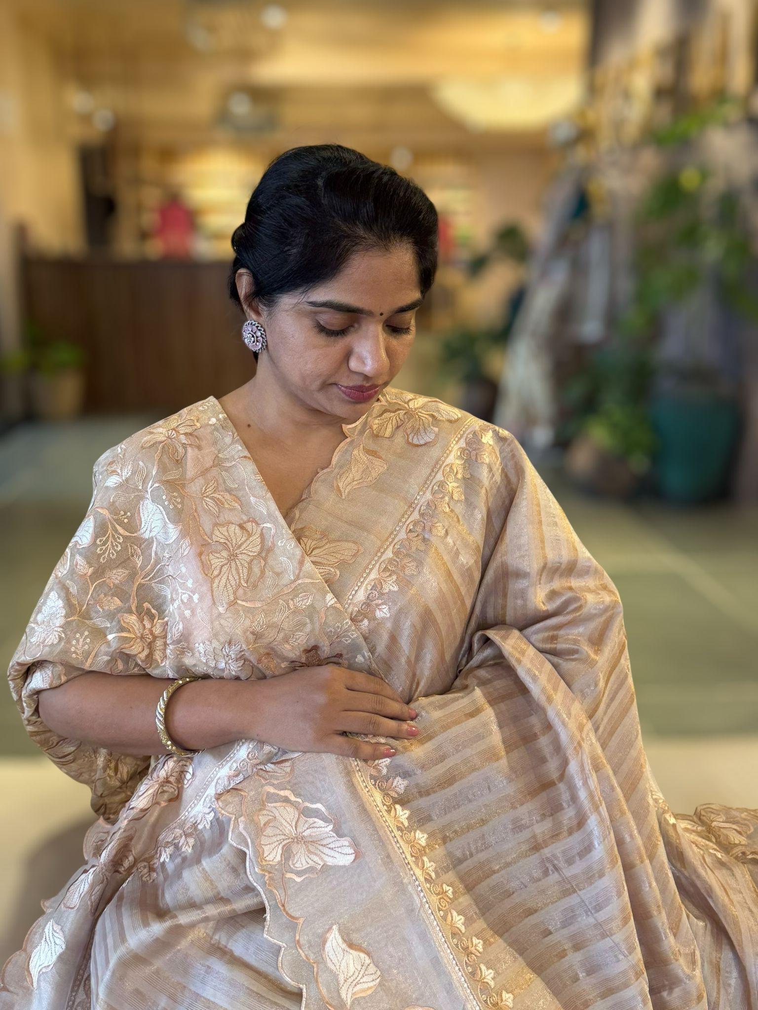 Earthy tone Mul Tissue Stripes Saree With Tissue Cutwork  Border & Blouse