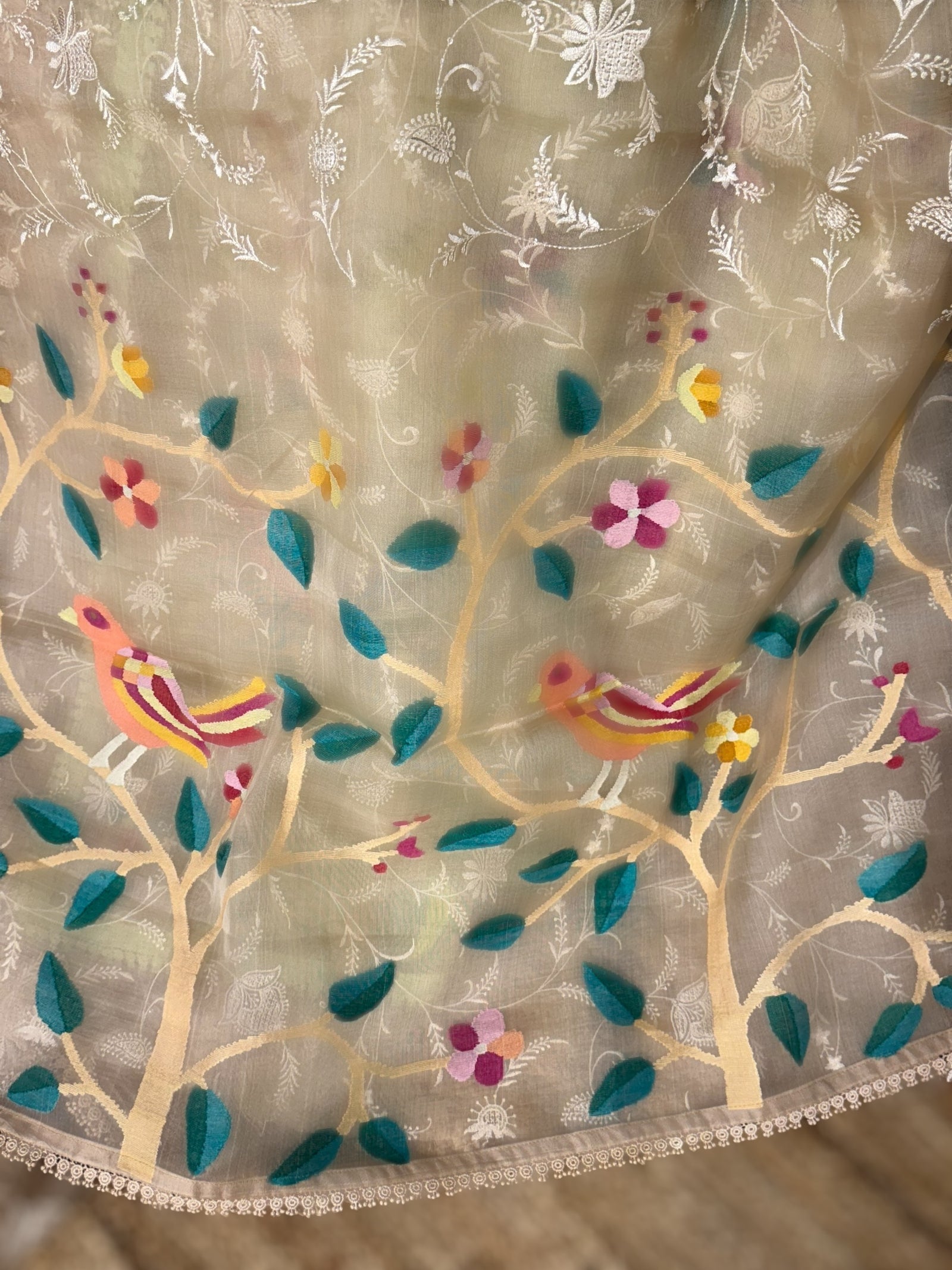 Beige Pure Handloom Muslin Saree with Allover chikankari & Jamdnai Pallus