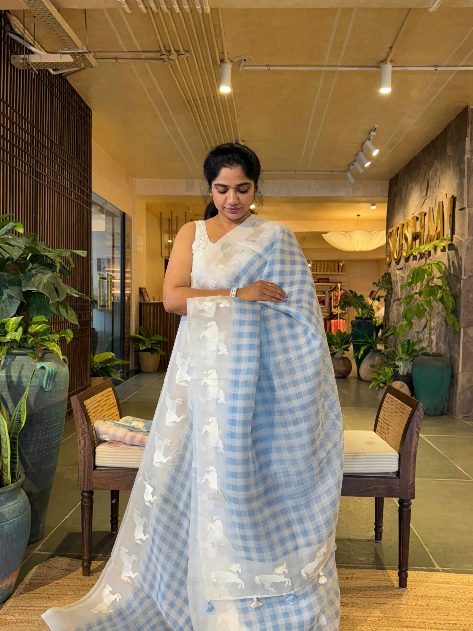 SOCH1302 : White & Blue Organza Saree Wth Embroidered Horse Border & Floral BP