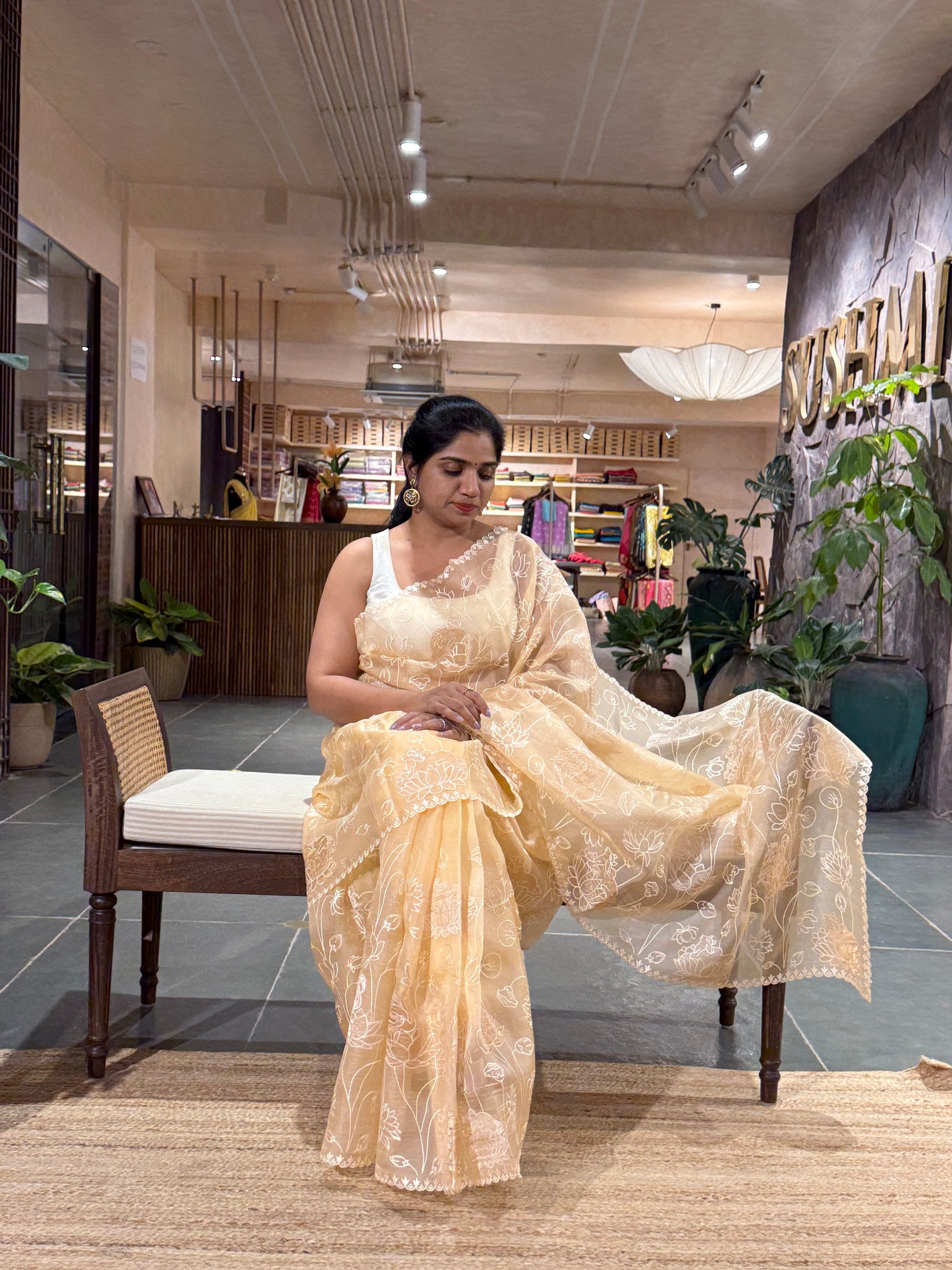 SOAA1604 : Light Peach Organza Saree with Allover Pichwai Applique Embroidery