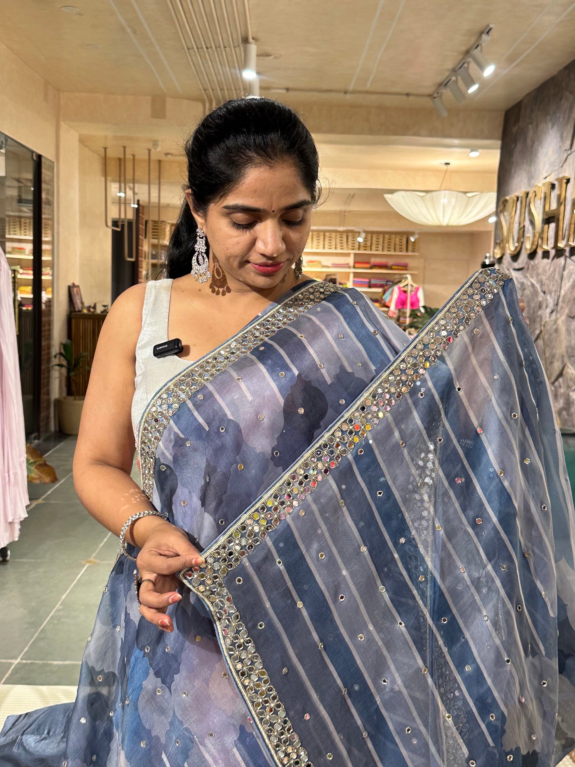 Organza Handwork Saree with mirrorwork