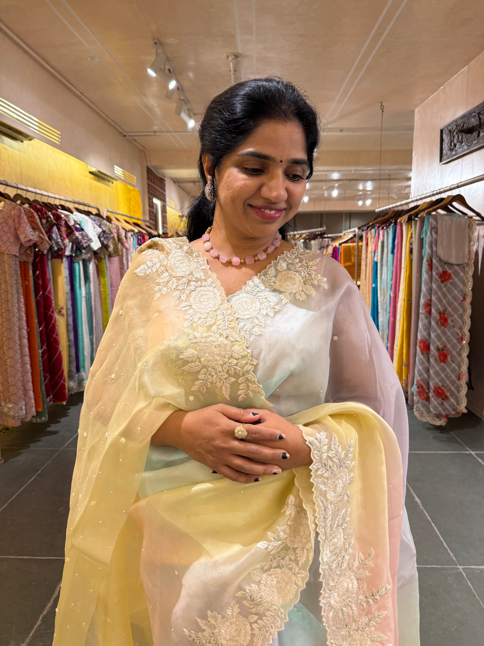 Ombre Dyed Pure Organza Silk Saree with Embroidered Borders