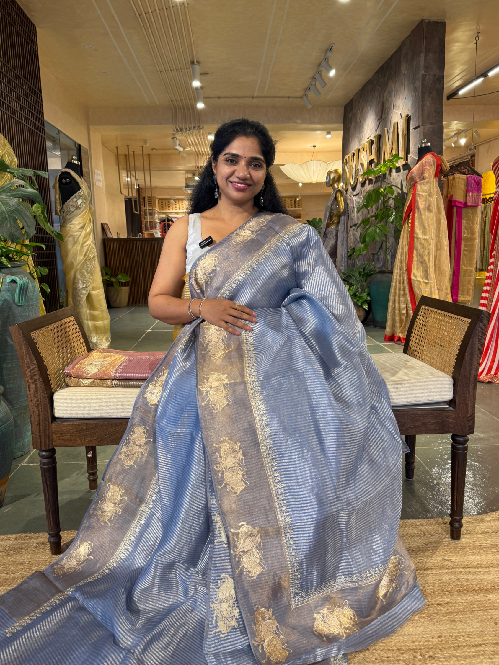 Evening Sky Tissue Stripes Saree with Nandi Border & Tissue Petite Point Blouse