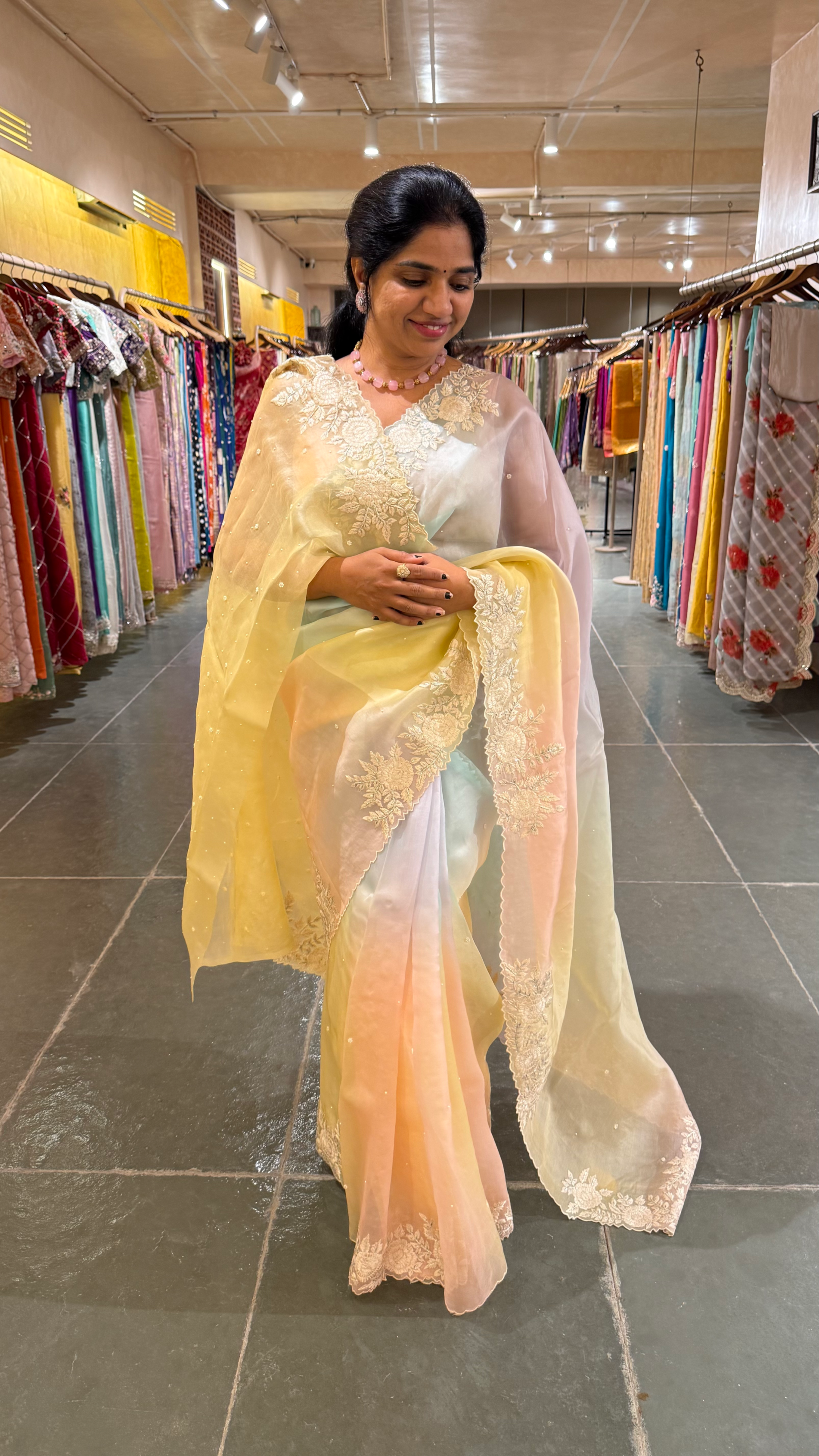 Ombre Dyed Pure Organza Silk Saree with Embroidered Borders