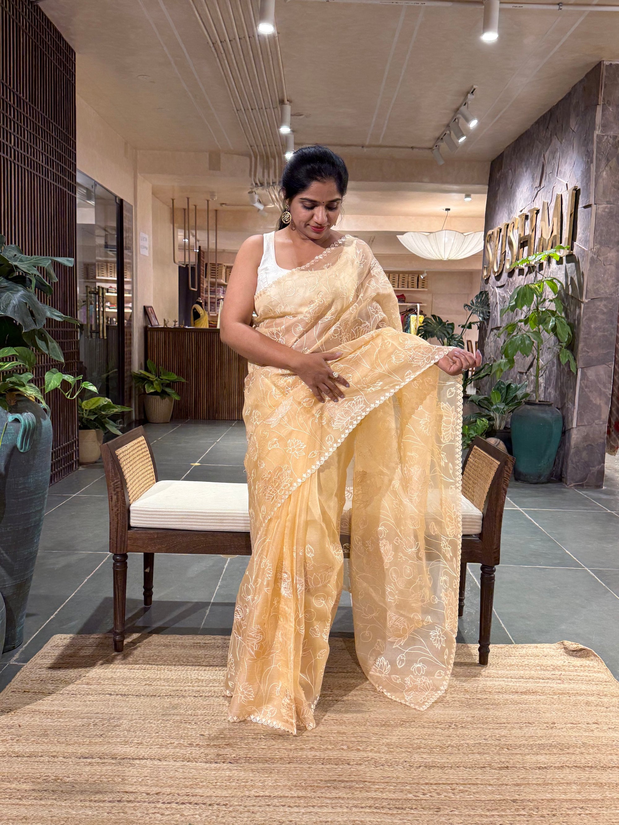 SOAA1604 : Light Peach Organza Saree with Allover Pichwai Applique Embroidery