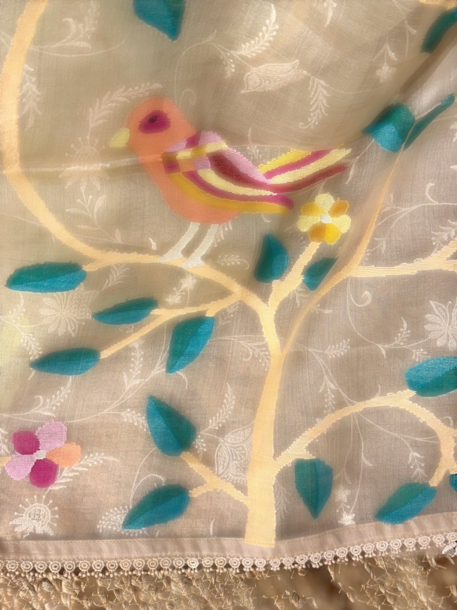 Beige Pure Handloom Muslin Saree with Allover chikankari & Jamdnai Pallus