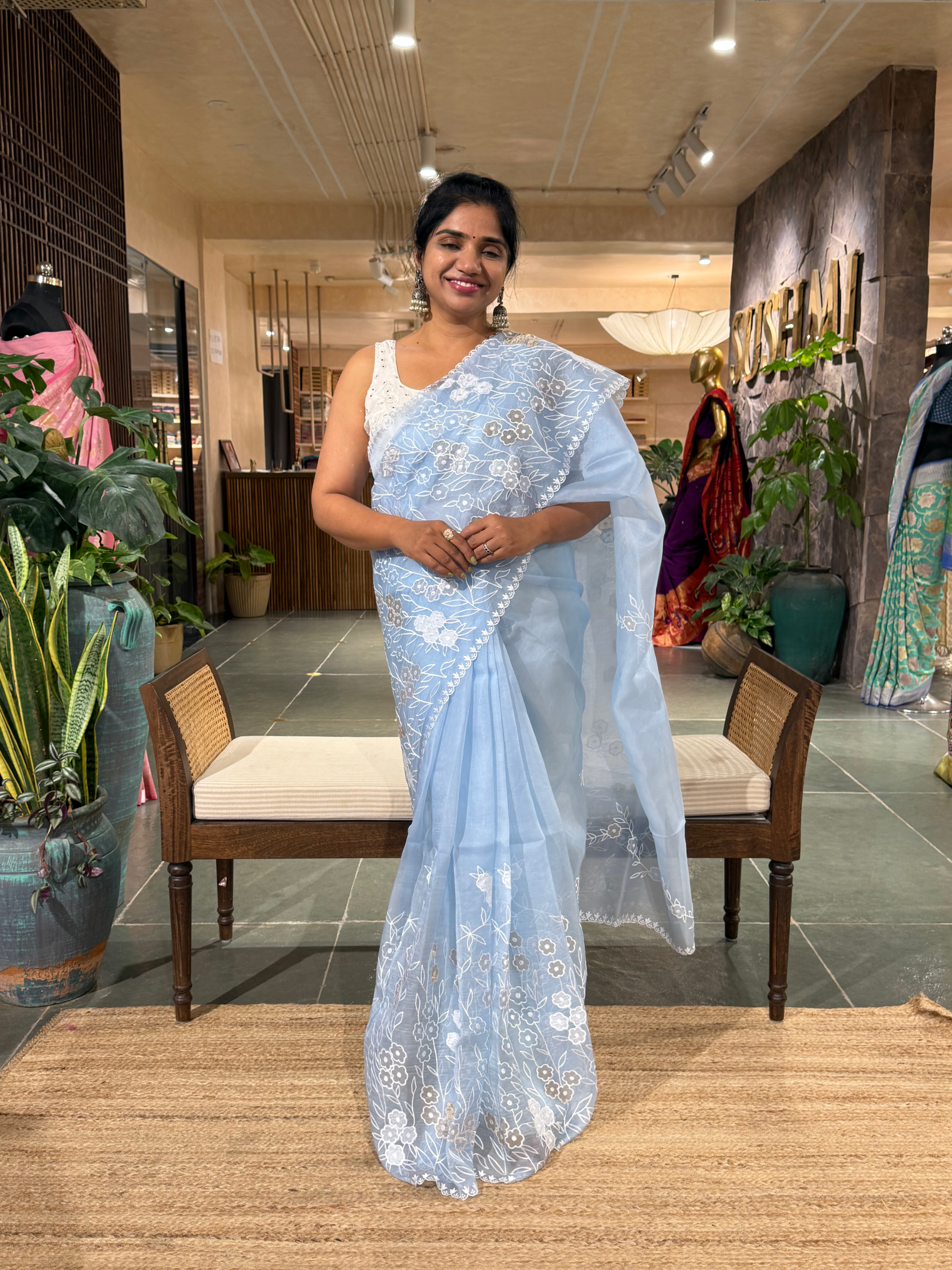 Evening Sky Organza Applique work Saree