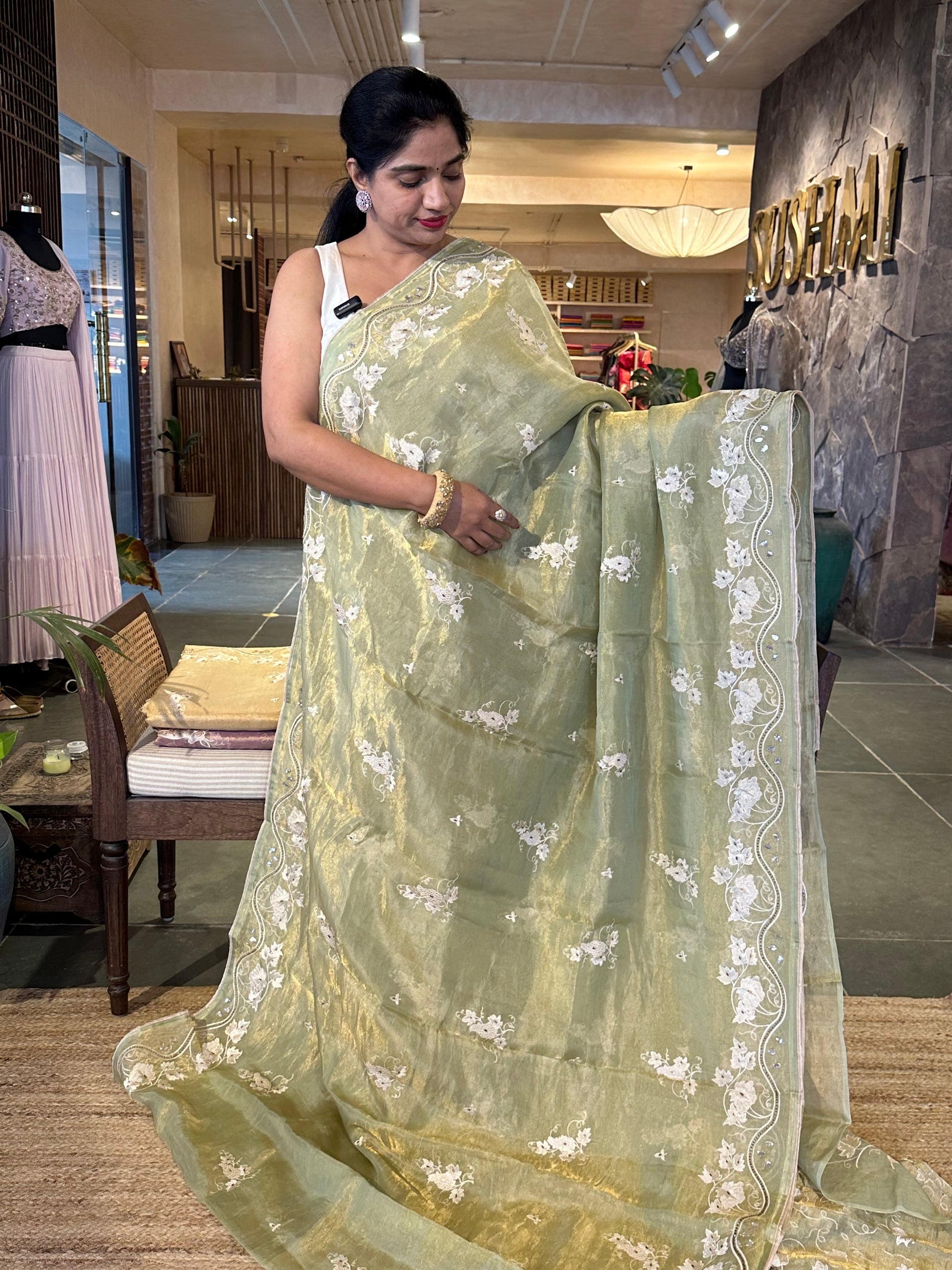 Pista Tissue saree with allover embroidery and handwork highlighting .