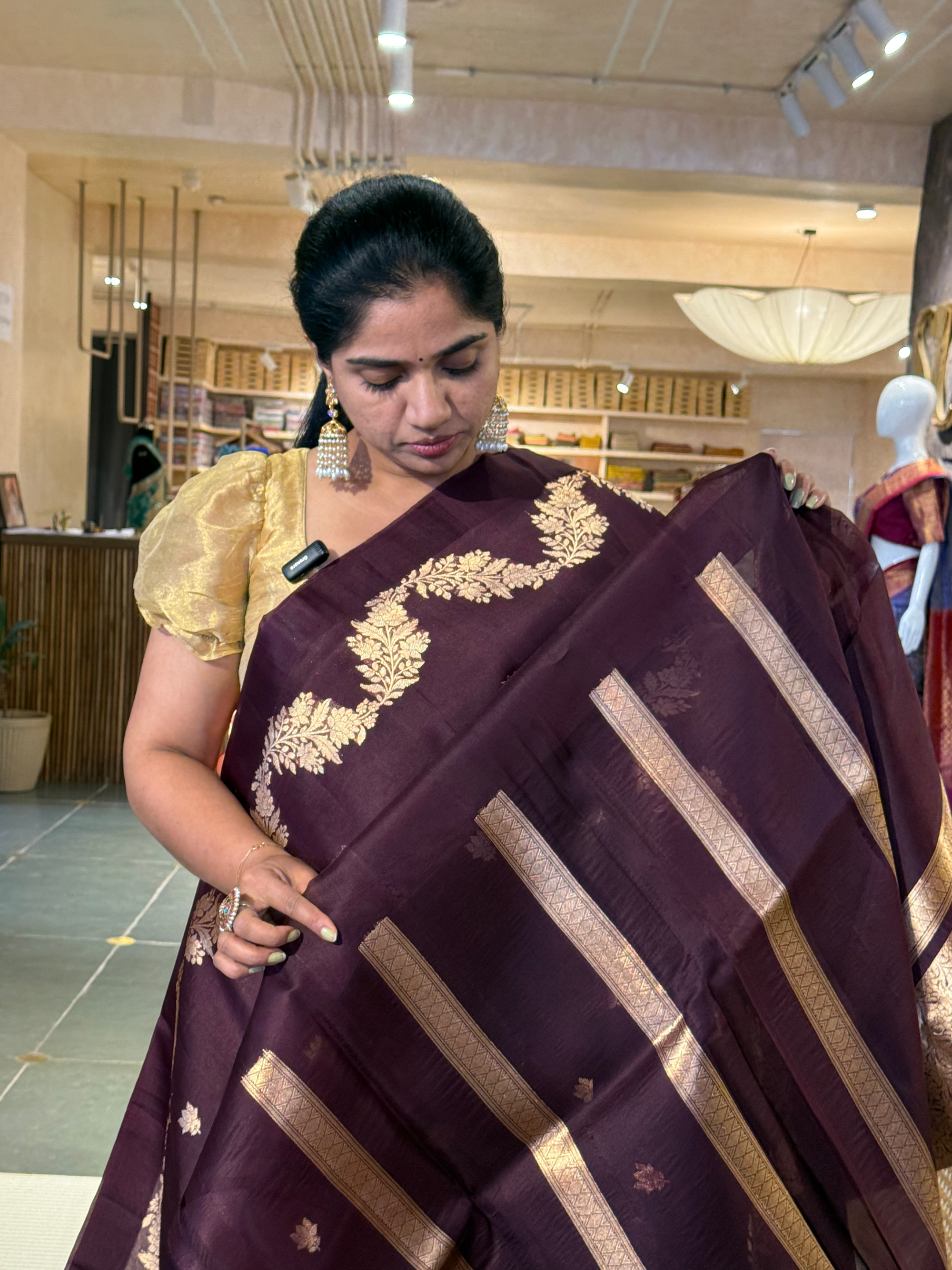 Winish Brown Banarasi Handloom Kora Silk Saree with kaduwa woven open  borders