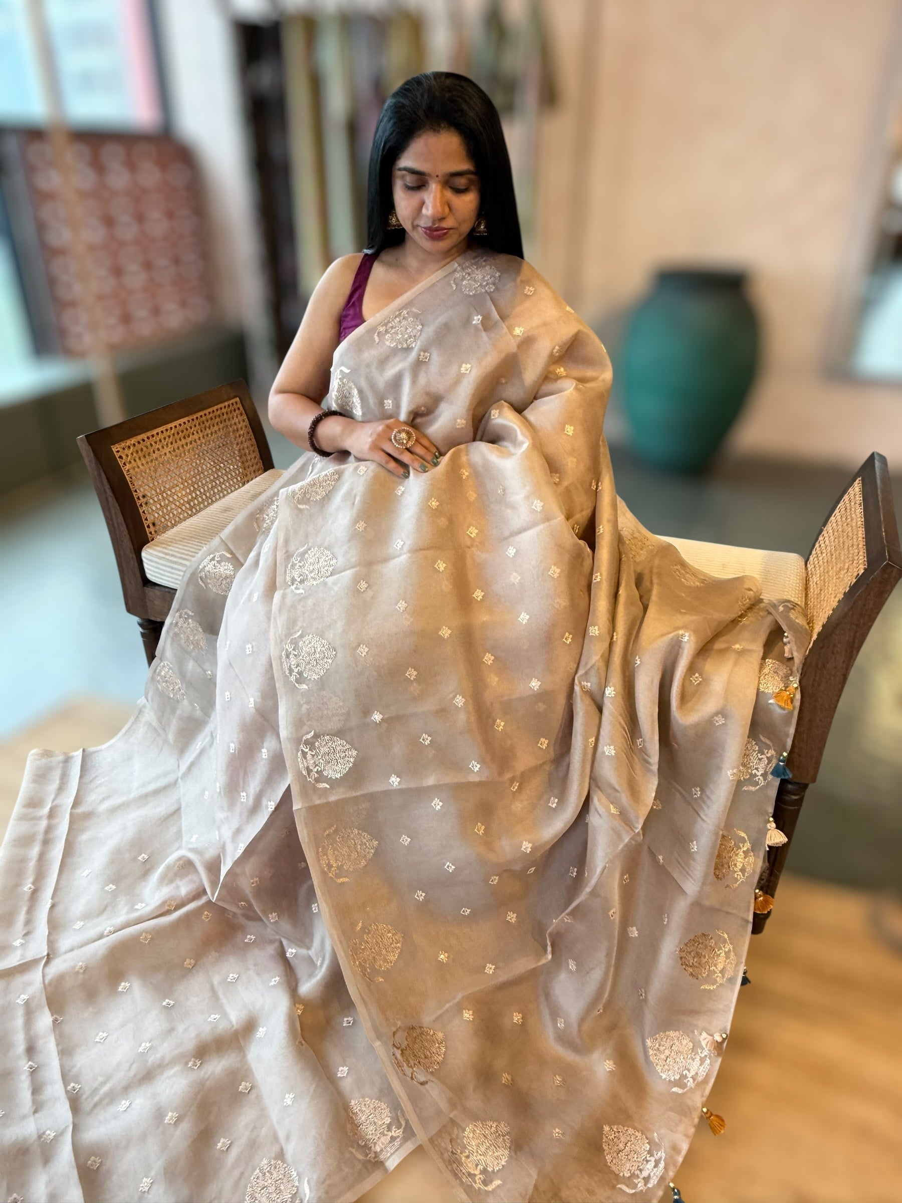 Dusty Tone Organza Saree wth Embroidered Open Border With Tussar Printed Blouse