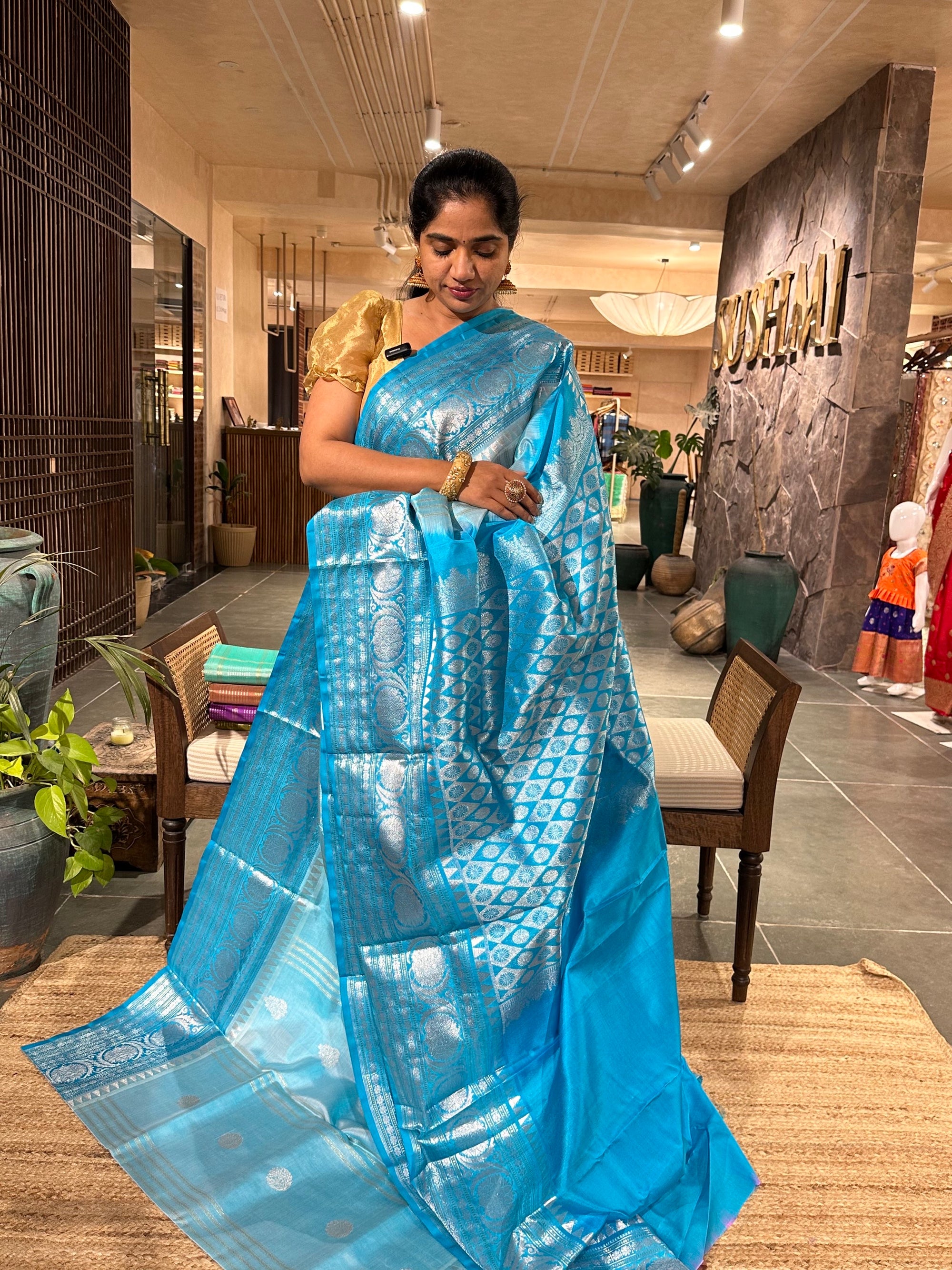 Venkatagiri Handloom Pure Silk Saree