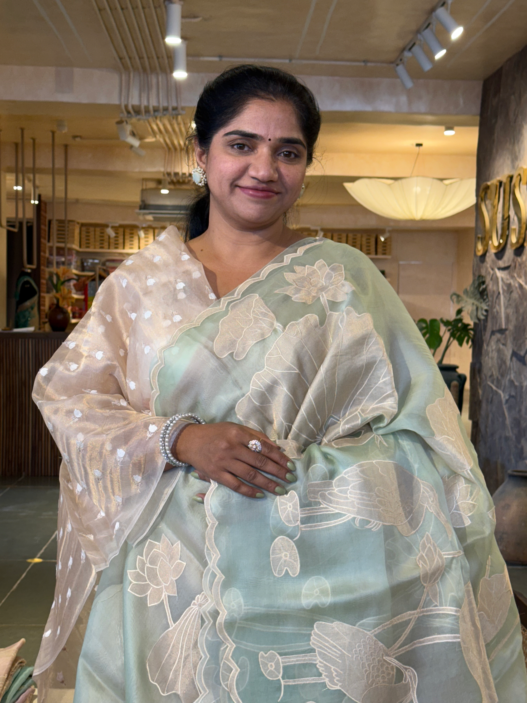 Mint Green Pure Organza Designer Saree with Allover Tissue Applique Embroidery