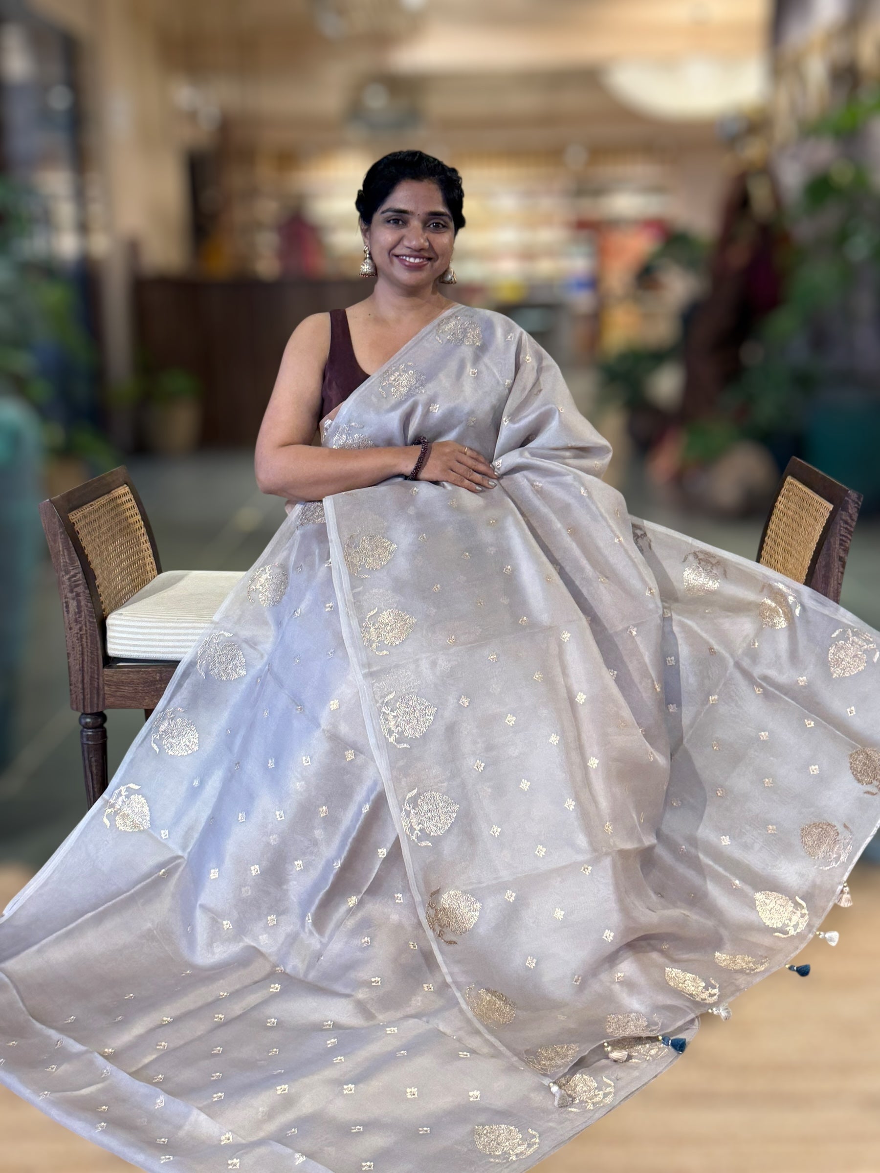 Silverish Grey  Organza Saree With Embroidered Motifs & Tussar Printed Blouse