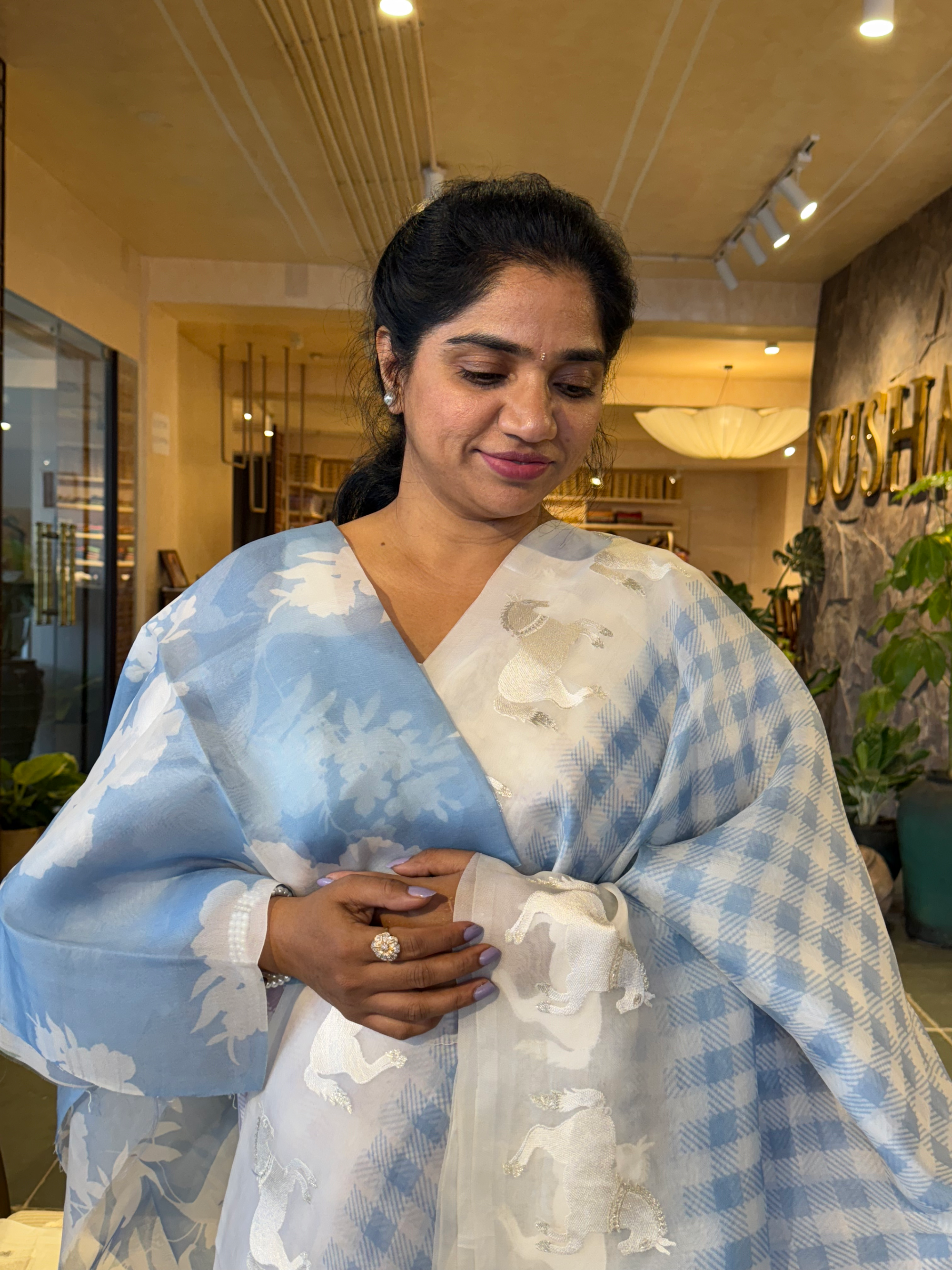 SOCH1302 : White & Blue Organza Saree Wth Embroidered Horse Border & Floral BP